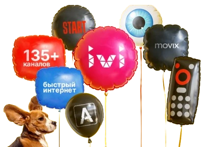 Услуги Дом.ру в Мичуринском 